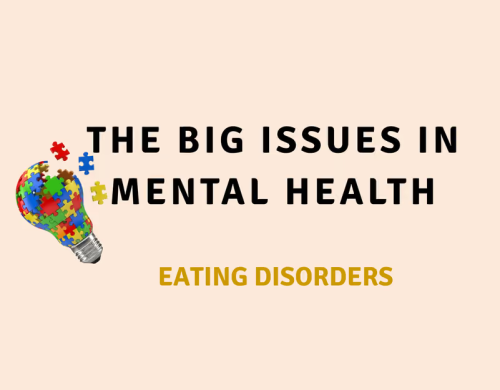 The Big Issues in Mental Health: Eating Disorders Image